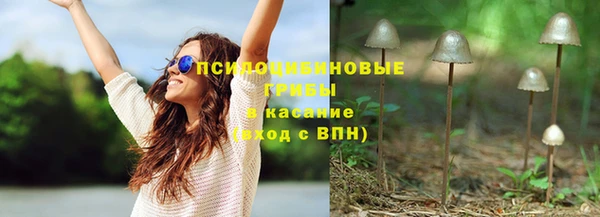 гидра Горнозаводск