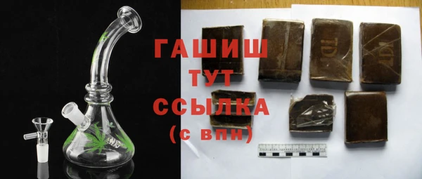 гидра Горнозаводск