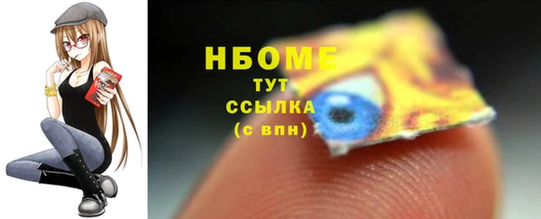 гидра Горнозаводск