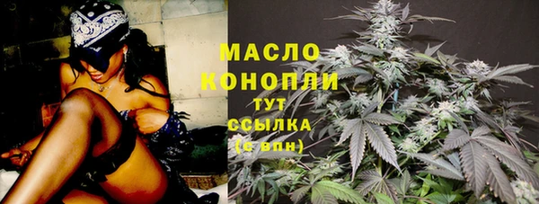 гидра Горнозаводск