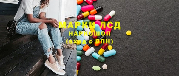 гидра Горнозаводск