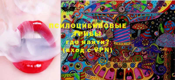 гидра Горнозаводск