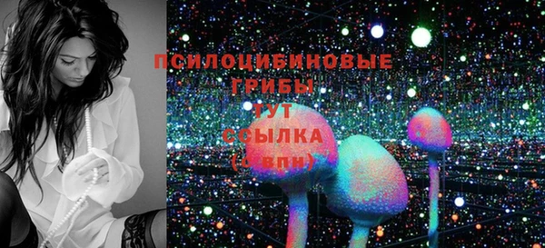 твердый Горно-Алтайск