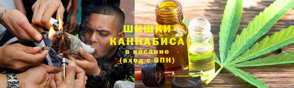 гидра Горнозаводск