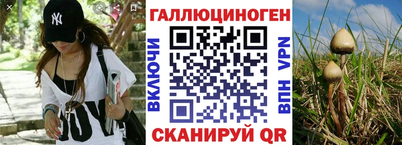 Галлюциногенные грибы прущие грибы  как найти   Старый Оскол 